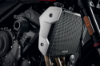 Picture of Evotech Radiator Guard - Trident 660 (2021+2025) 