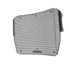 Picture of Evotech Radiator Guard (Black) - Speed Triple 1200 RS/RR (2021+)