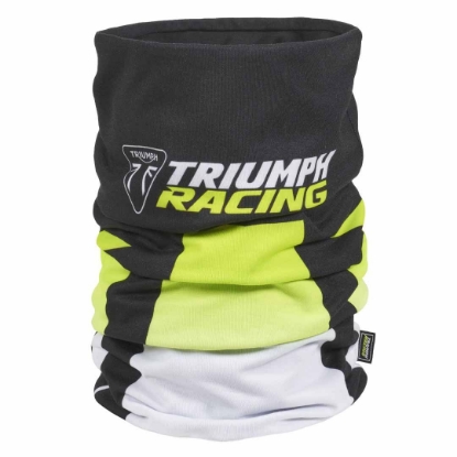 Picture of Triumph Racing Neck Tube