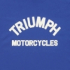 Picture of Burnham Arch Logo Cobalt Blue Tee