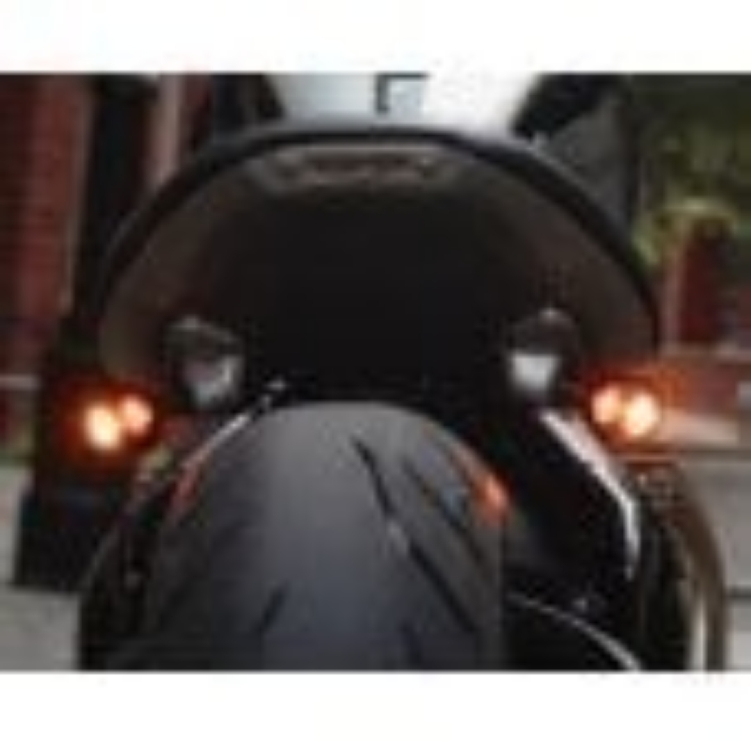 Picture of Motone Lamprey - Under seat tail light mount for Bobber seat -Brushed