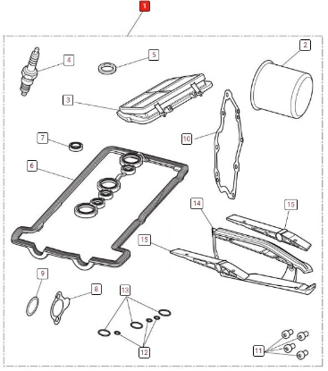 Picture of Tiger 800 - Major Service Kit