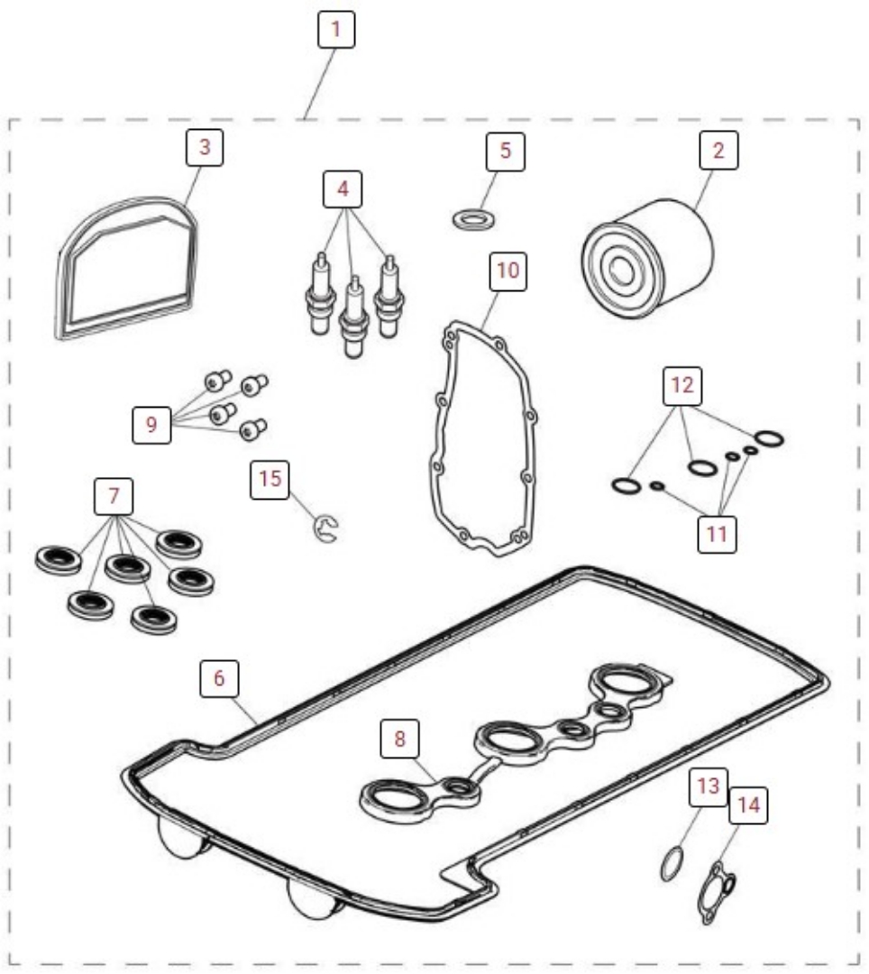 Picture of Tiger 1200 - Major Service Kit