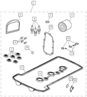 Picture of Tiger 1200 - Major Service Kit